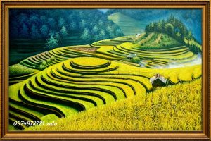 Tranh ruộng bậc thang tây bắc đẹp