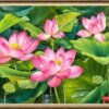 Tranh hoa sen hồng đẹp ý nghĩa tinh tế Tp128